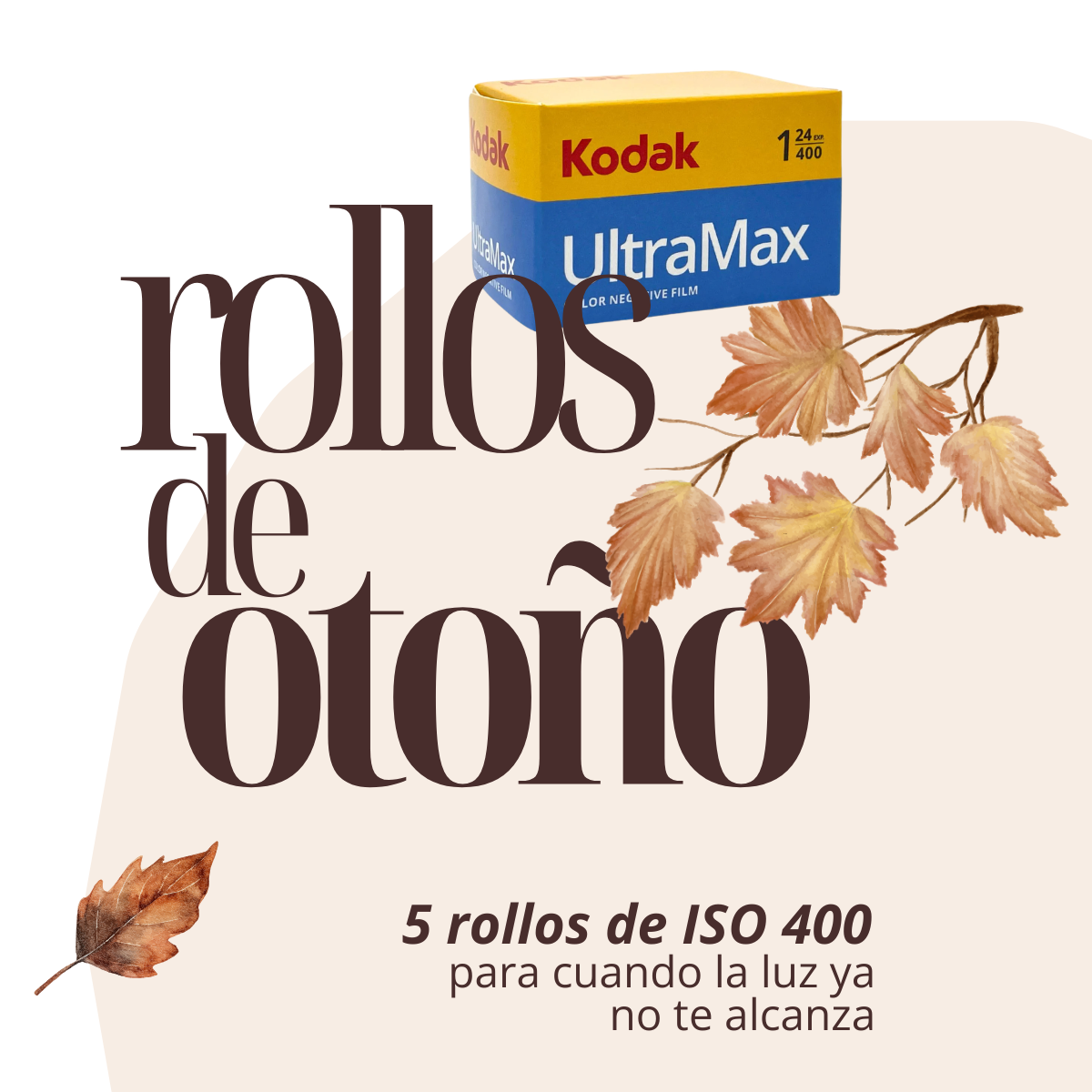 Rollos para Otoño